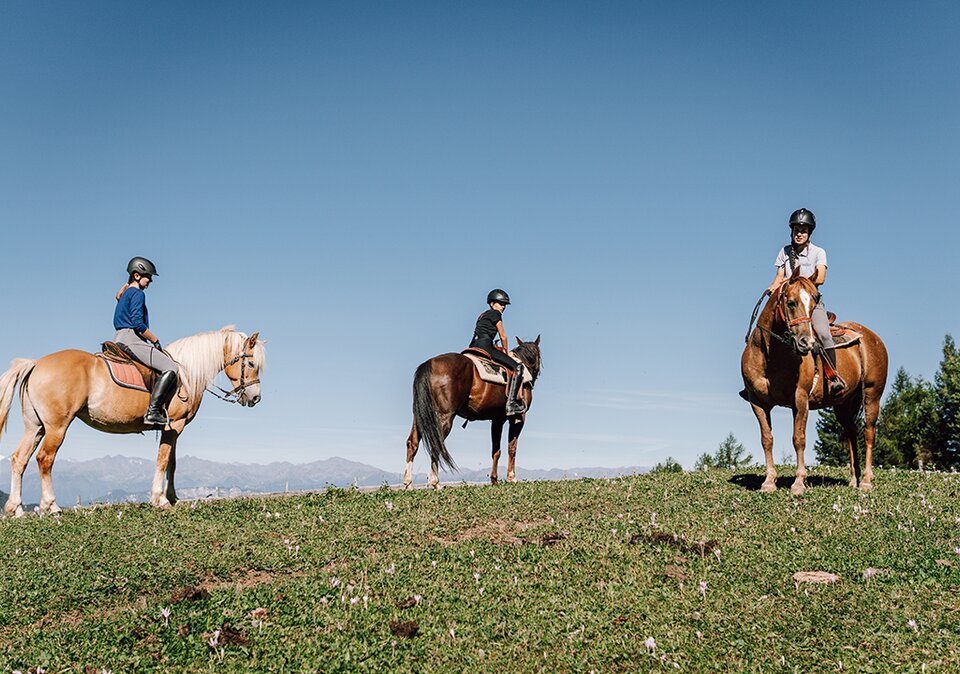 Tre cavalieri su cavalli in un prato verde sotto un cielo blu