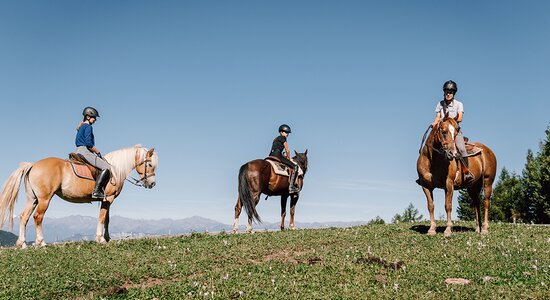 Tre cavalieri su cavalli in un prato verde sotto un cielo blu